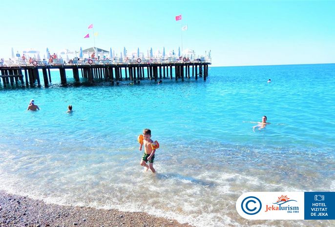 Poze Delphin Botanik 13