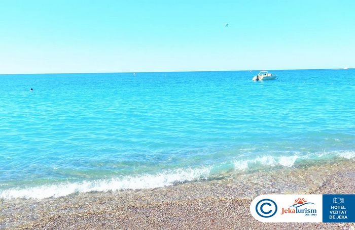 Poze Delphin Botanik 14