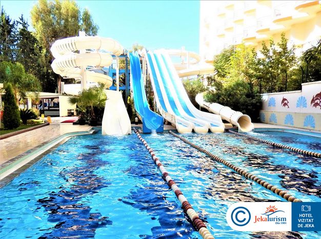 Poze Delphin Botanik 7