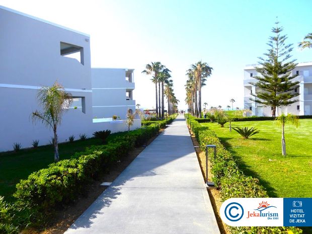 Poze Delfina Tropic Beach 11