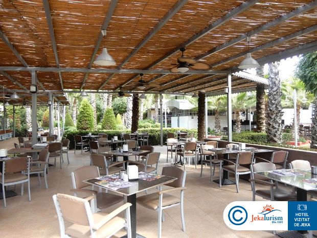 Poze Delphin Diva Premiere 11