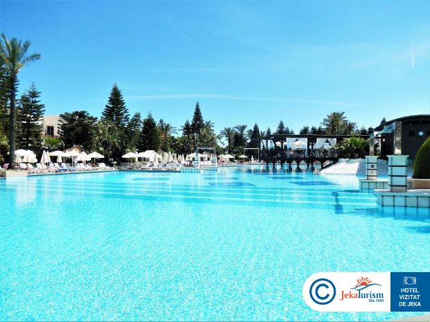 Poze Delphin Diva Premiere 12