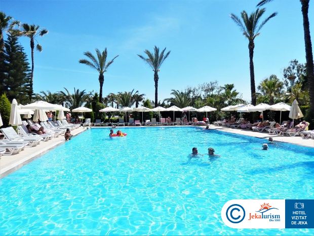 Poze Delphin Diva Premiere 13