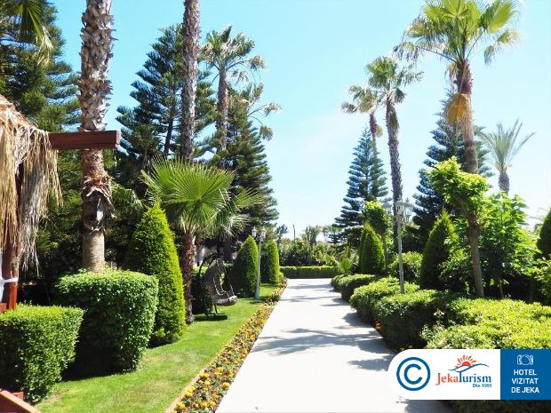 Poze Delphin Diva Premiere 18