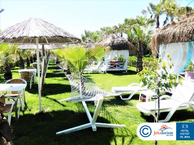 Poze Delphin Diva Premiere 19