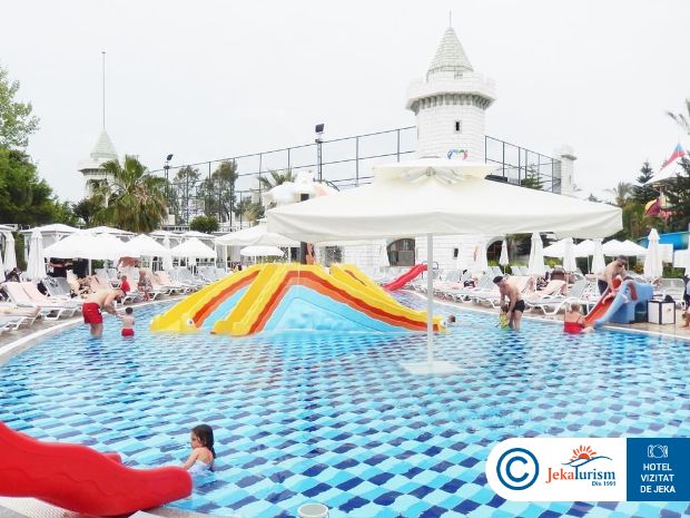 Poze Delphin Imperial 10