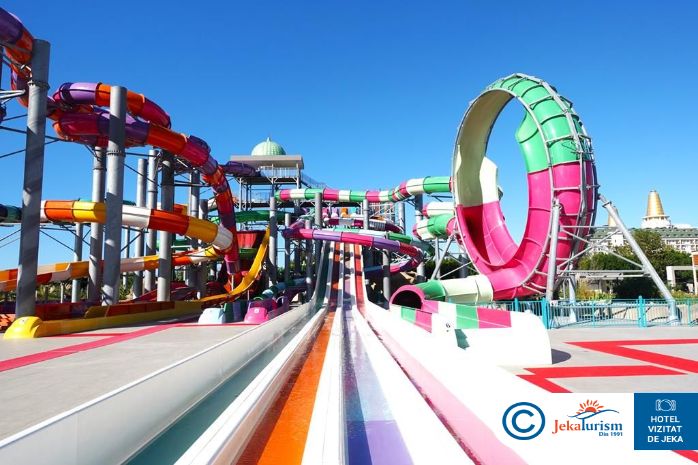 Poze Delphin Imperial 12