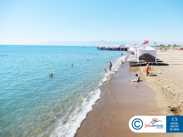 Poze Delphin Imperial 15