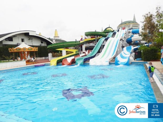 Poze Delphin Imperial 8