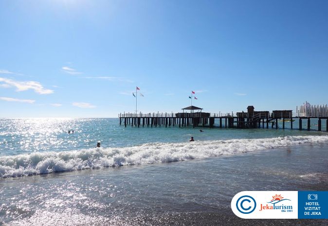 Poze Delphin Platinum 12