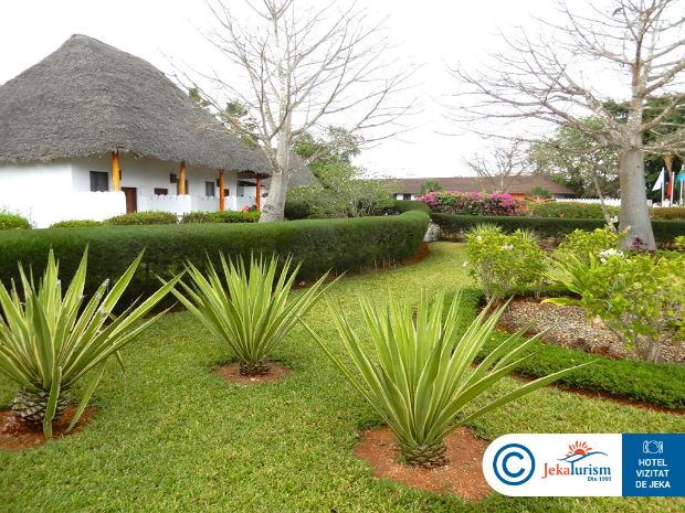 Poze Diamonds Mapenzi Beach 6