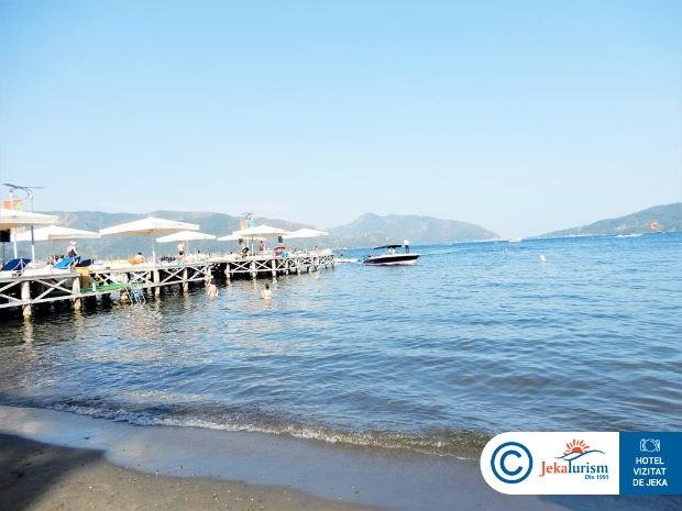 Poze Elegance International 8