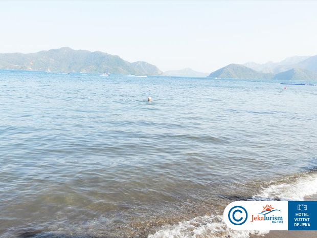 Poze Elegance International 9