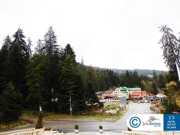 Poze Festa Winter Palace 14