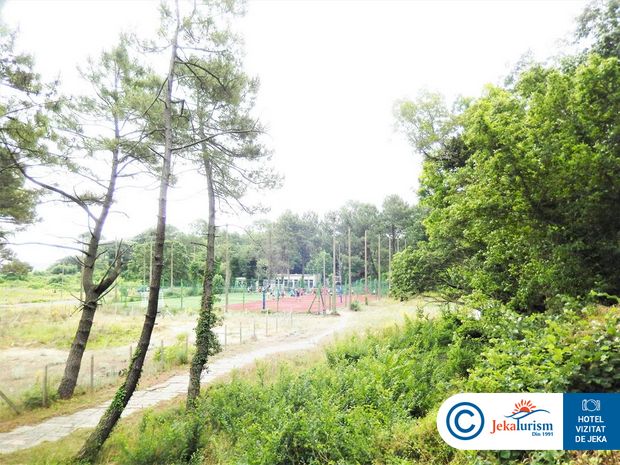 Poze Forest Beach 15