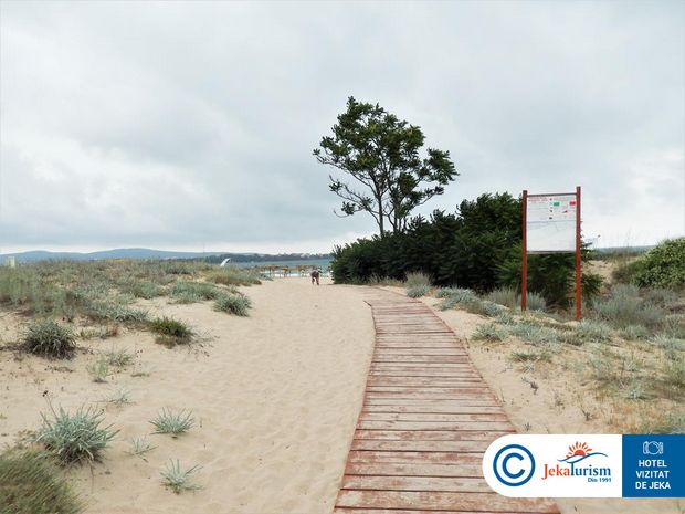 Poze Forest Beach 17