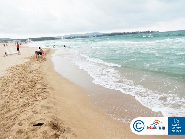 Poze Forest Beach 20