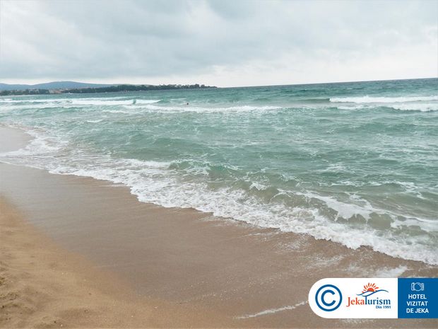 Poze Forest Beach 21