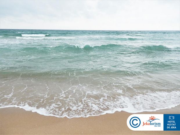 Poze Forest Beach 22