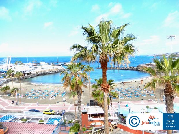 Poze Flamingo Beach Mate 13