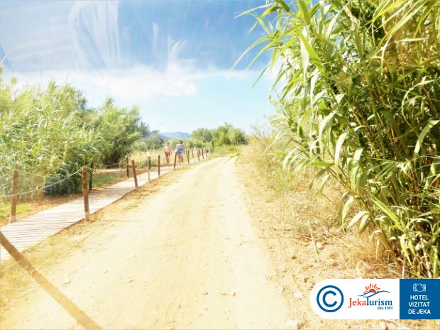 Poze Georgioupolis Resort & Aqua Park 15