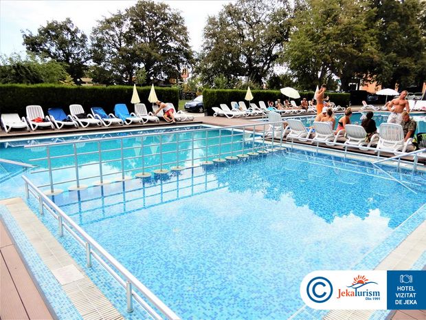 Poze Gladiola Star 7