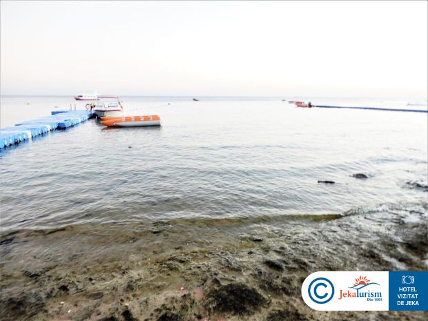 Poze Doubletree By Hilton Sharks Bay Resort 10