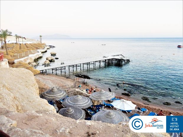 Poze Doubletree By Hilton Sharks Bay Resort 7