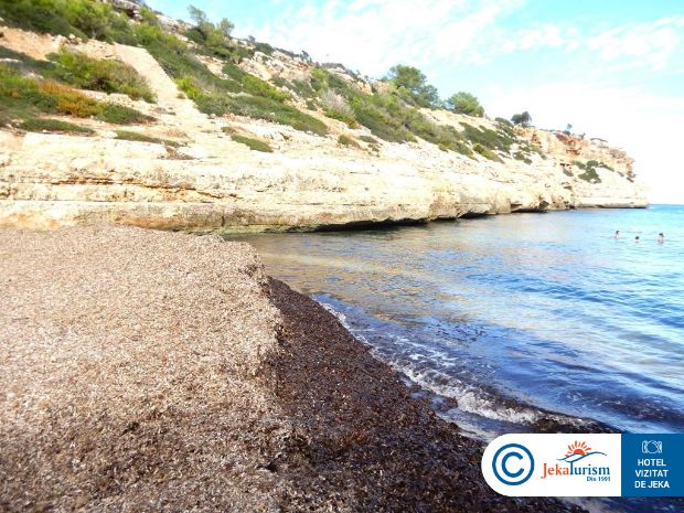 Poze Hyb Eurocalas 17