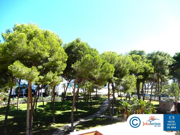 Poze Hipotels Hipocampo Palace & Spa 6