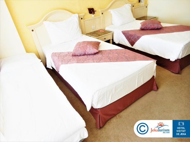 Poze Hotel The Palace Balneo & Spa