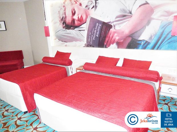 Poze Hotel Vikingen Infinity