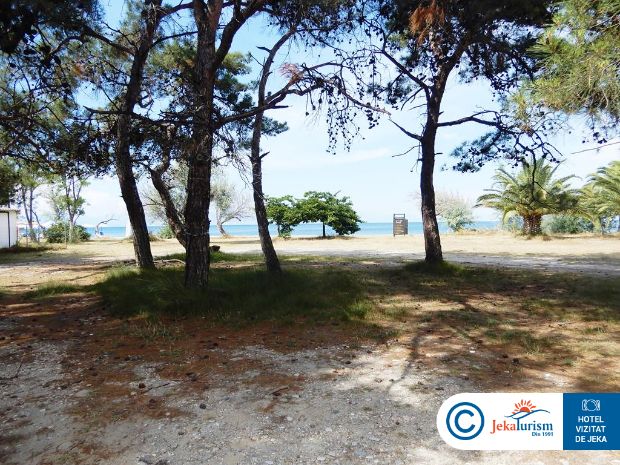 Poze Inspira Boutique 9