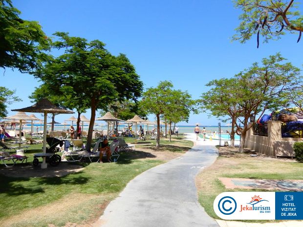 Poze Jaz Aquamarine 16