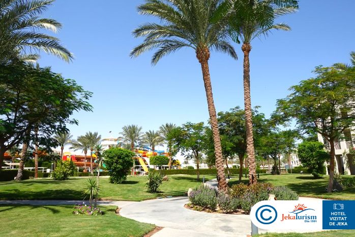 Poze Jaz Aquaviva 10