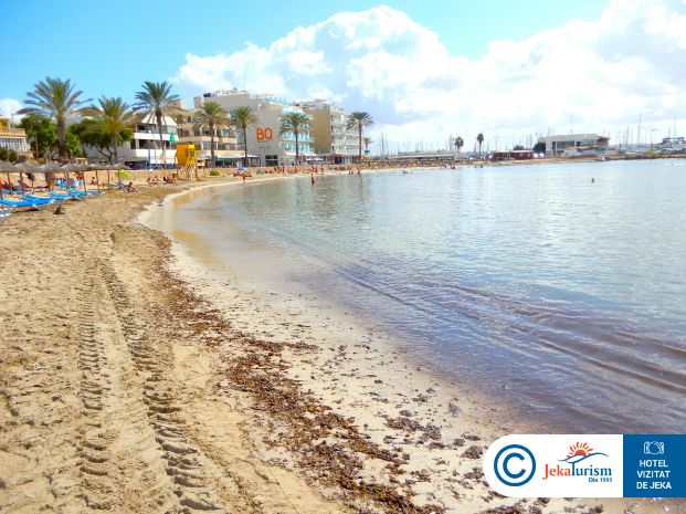 Poze Js Palma Stay 8