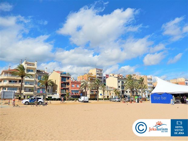 Poze Kaktus Playa 11