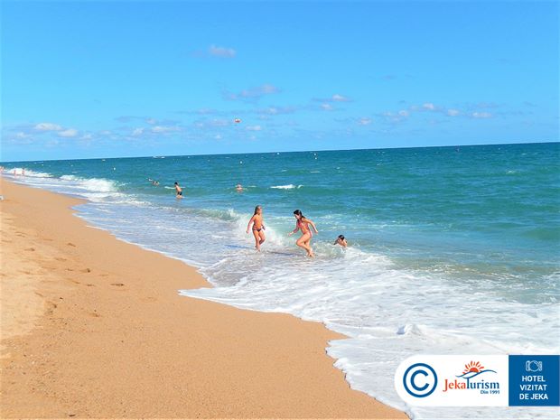 Poze Kaktus Playa 14