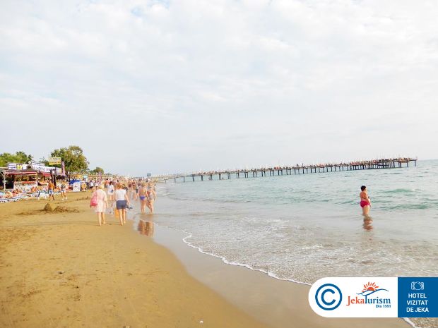 Poze Calyptus Kirman Premium 14