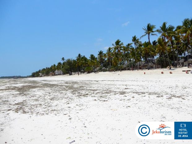 Poze Karafuu Beach Resort 20