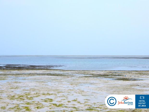 Poze Kiwengwa Beach Resort 19