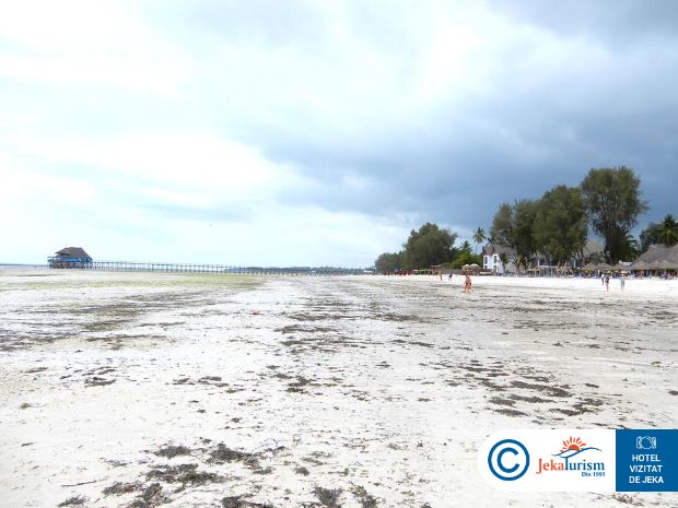 Poze Kiwengwa Beach Resort 20