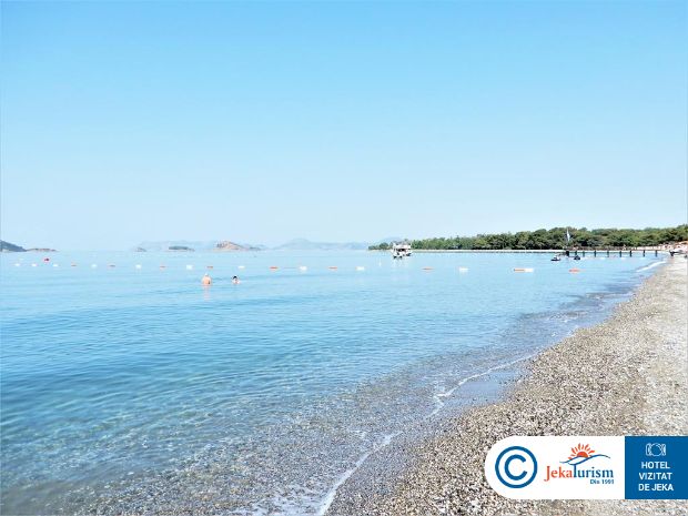 Poze Liberty Fabay 22