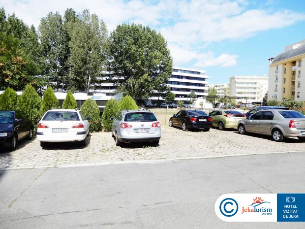 Poze Lion Sunny Beach 11