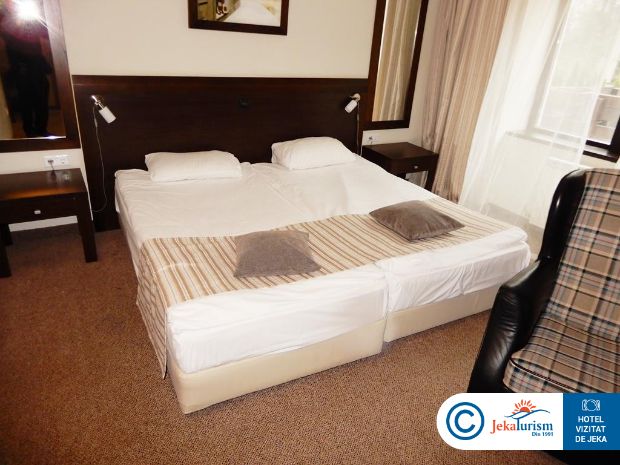 Poze Lion Borovets 13