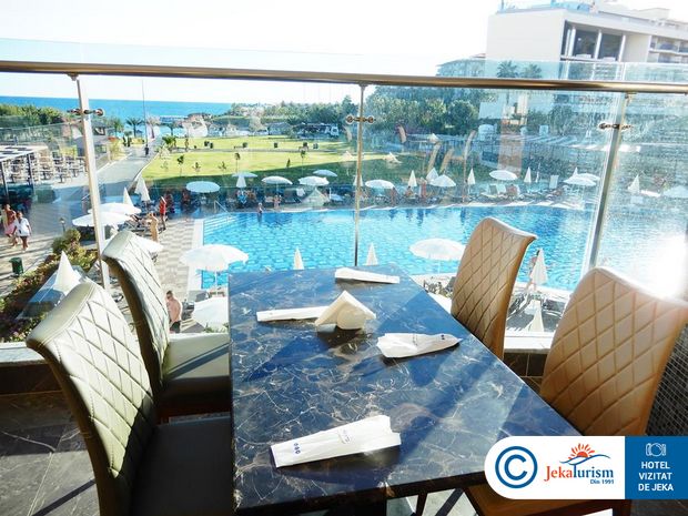 Poze Lonicera Premium 6