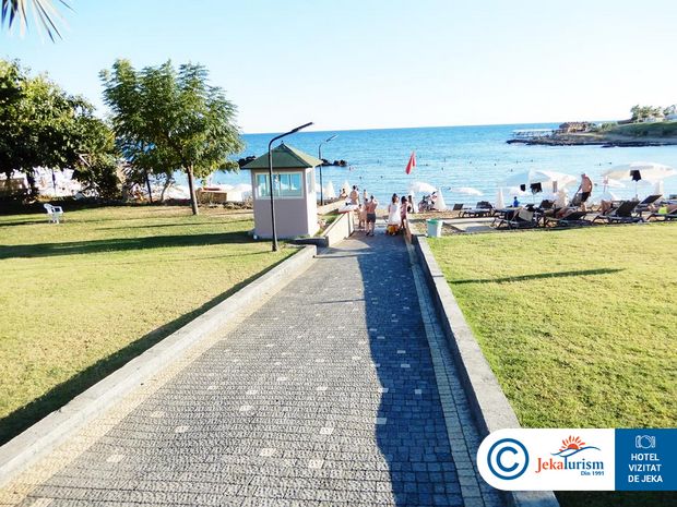 Poze Lonicera Premium 8