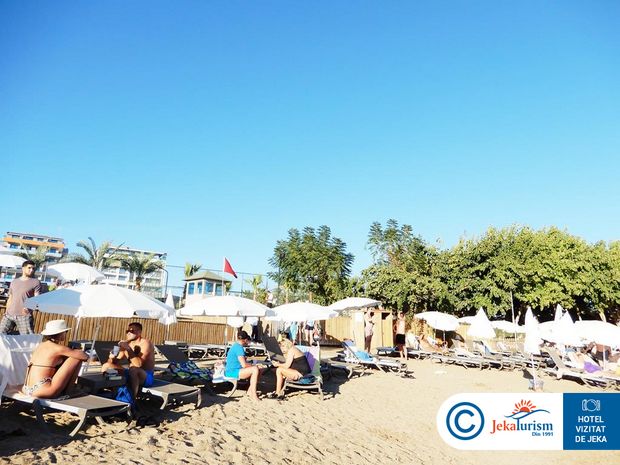 Poze Lonicera Premium 9