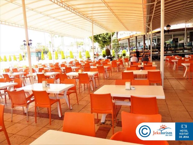 Poze Lonicera World 6