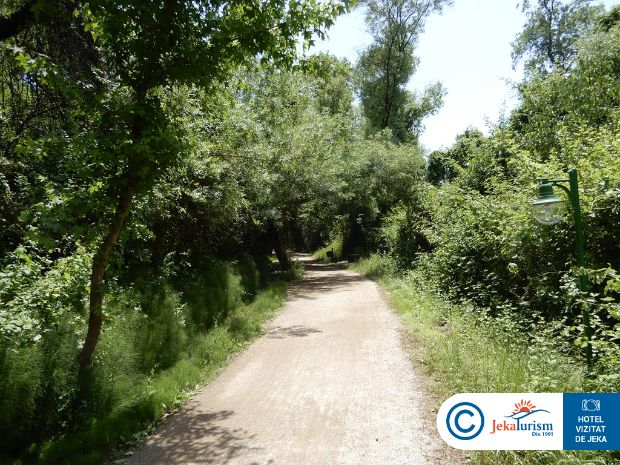 Poze Lykia Botanika Beach Fun & Club 12